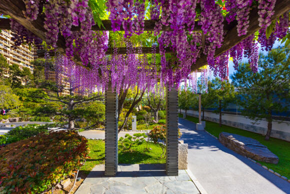 Le jardin Japonais